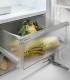 ICBNSe5123-20-biofresh2